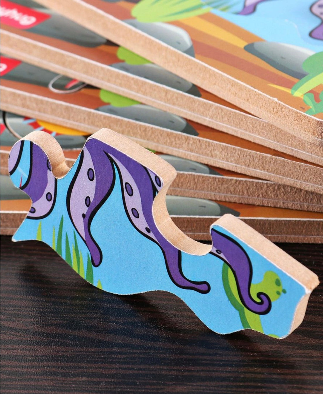 Set of 5 Wooden Puzzles
