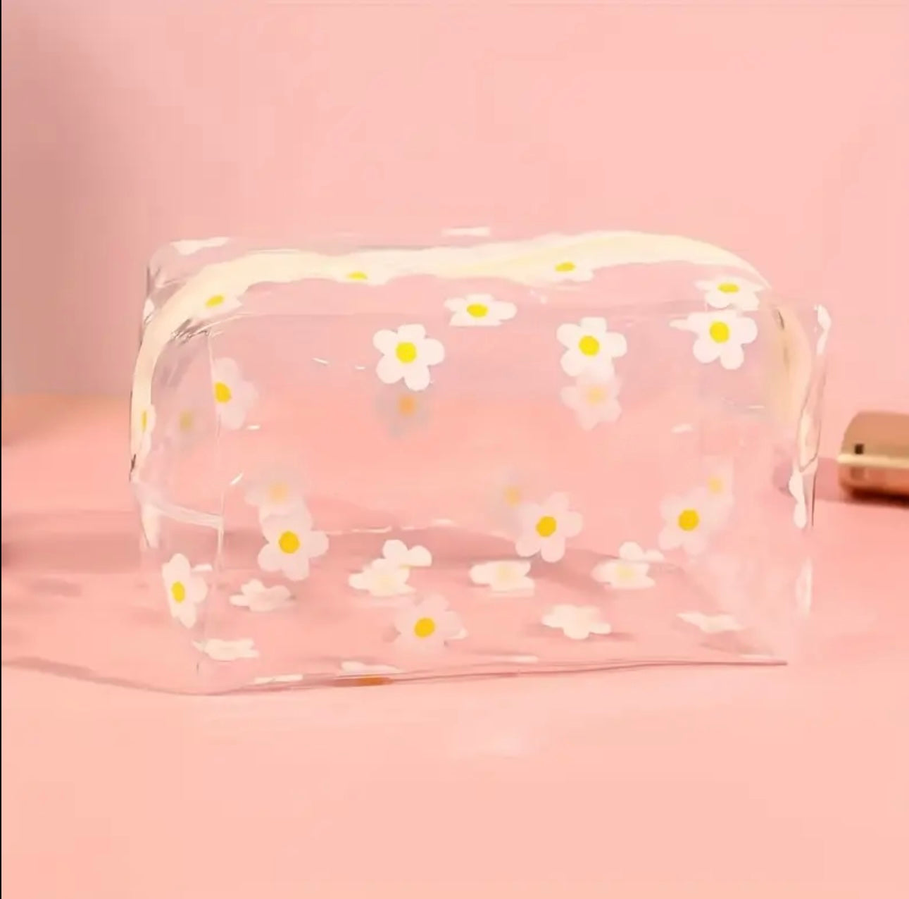 Transparent Pouch