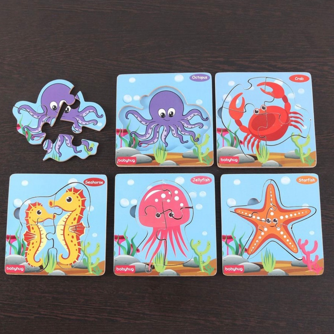 Set of 5 Wooden Puzzles