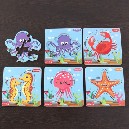 Set of 5 Wooden Puzzles